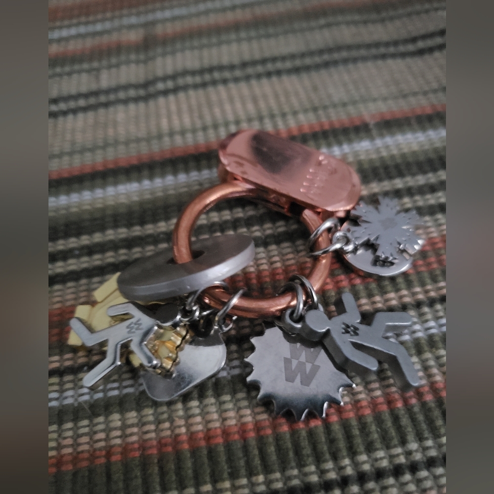 WW Charms on Key Ring (9)
